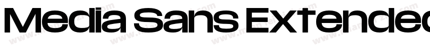 Media Sans Extended Bold字体转换